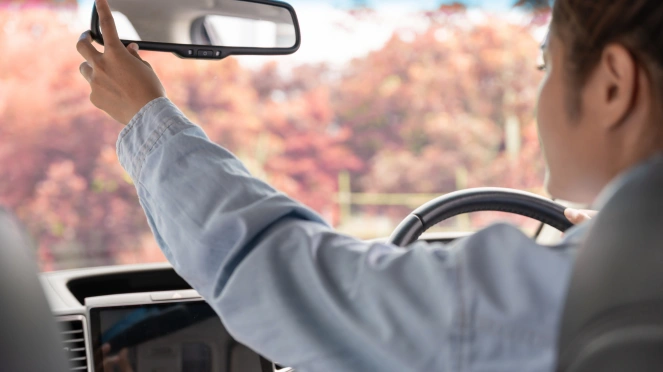 NSW Learner Driver Drive in Victoria